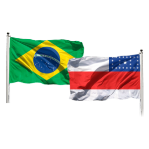 Bandeiras Brasil e Amazonas
